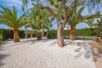 b48c042f-95c7-476e-9159-fccba54f40b0-dsc19292