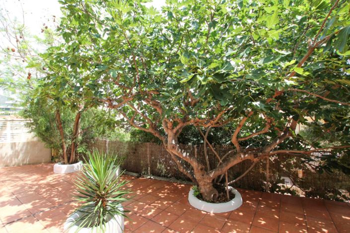 Image No.24-4 Bed Villa for sale