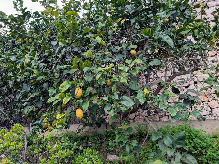 Image No.43-Villa de 4 chambres à vendre à Benissa