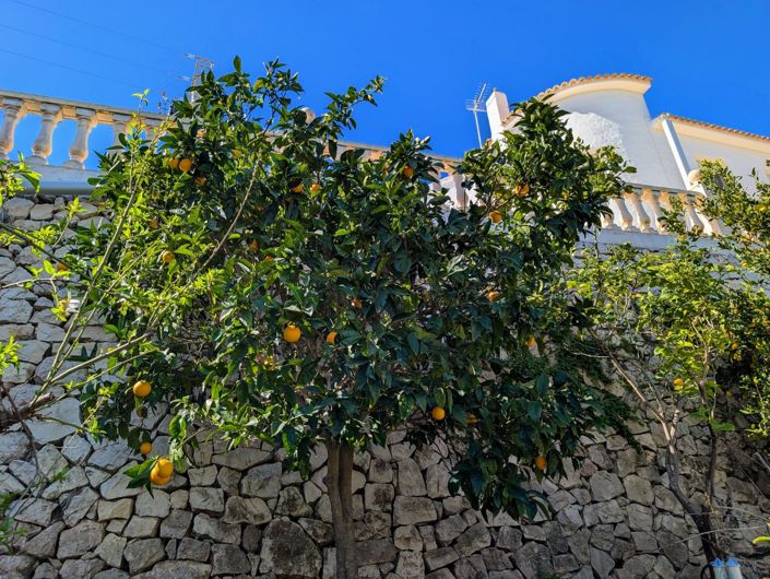 Image No.44-4 Bed Villa for sale