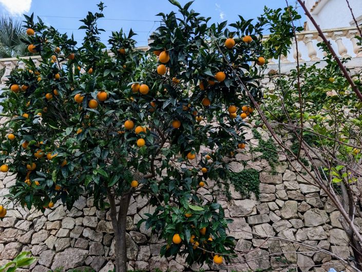 Image No.45-Villa de 4 chambres à vendre à Benissa