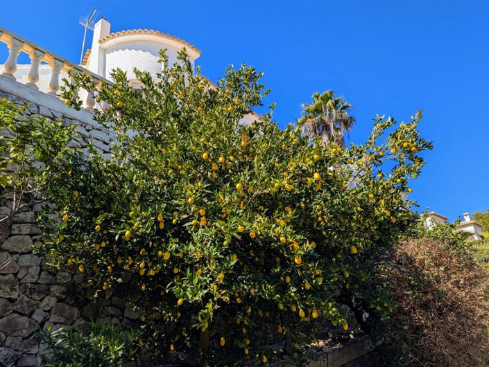 Image No.45-4 Bed Villa for sale