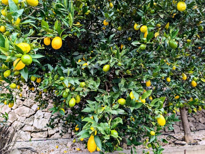 Image No.46-Villa de 4 chambres à vendre à Benissa