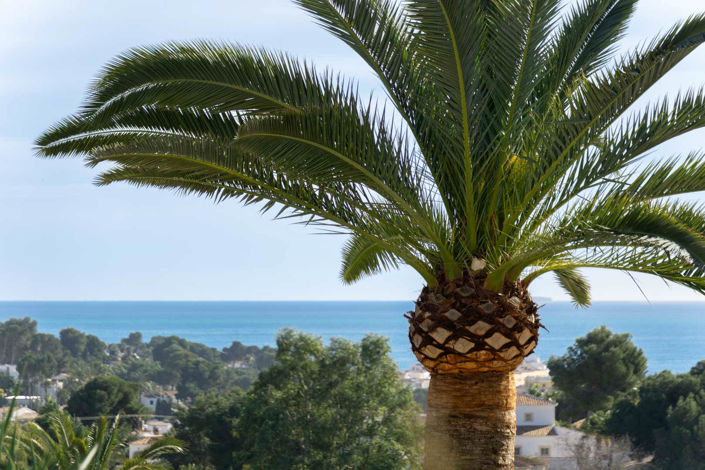Image No.21-Villa de 3 chambres à vendre à Moraira