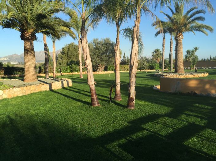 Image No.6-5 Bed Villa for sale