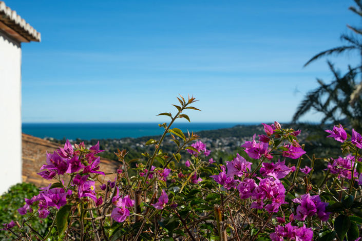 Image No.39-4 Bed Villa for sale