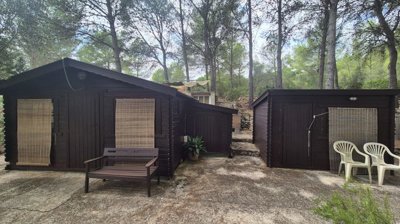 cd01c75a-a8bf-45b5-bfde-408656edfb0c-whatsapp