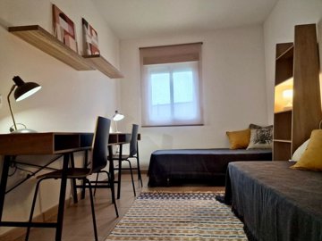 3775bd67-991b-473c-b30a-e9824a28148c-whatsapp