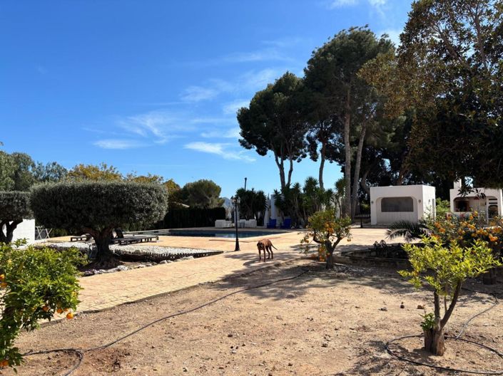 Image No.9-Maison de campagne de 5 chambres à vendre à L'Alfas del Pi