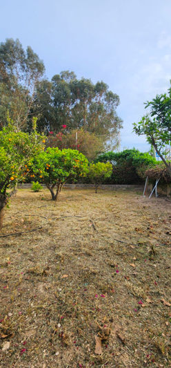 Image No.23-3 Bed Villa for sale