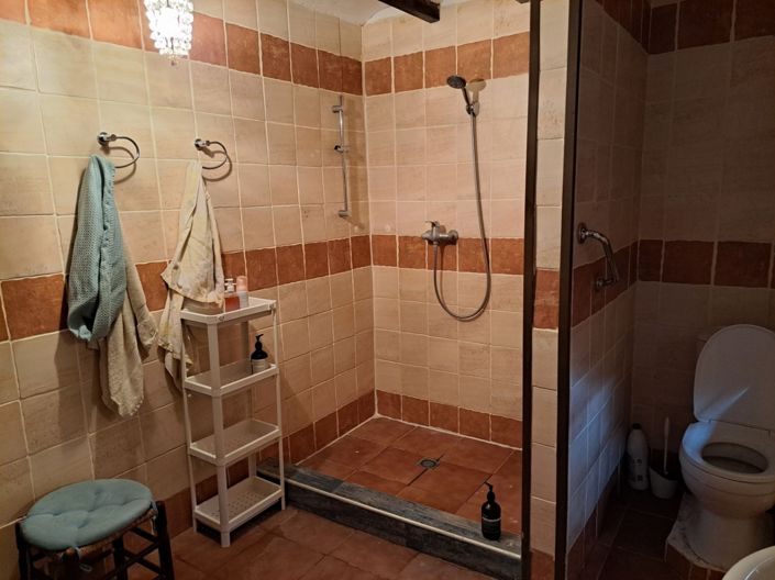 Image No.16-5 Bed Finca for sale