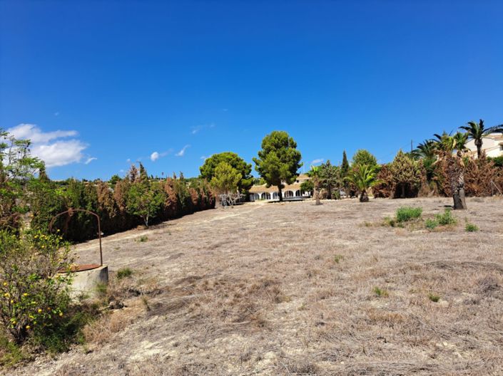 Image No.50-5 Bed Finca for sale