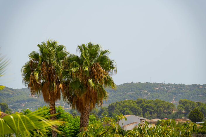 Image No.49-5 Bed Villa for sale