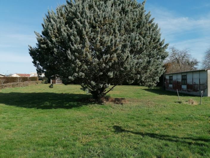 Image No.13-Maison / Villa de 4 chambres à vendre à Boussac