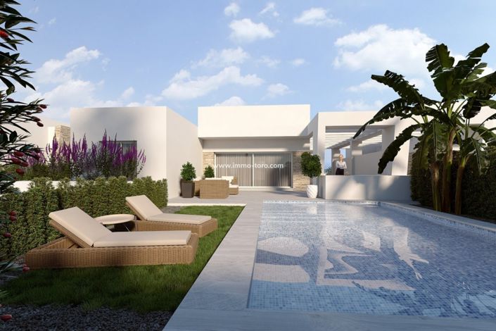 Image No.1-Villa de 3 chambres à vendre à Algorfa