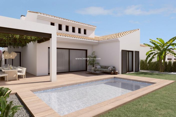 Image No.1-Villa de 3 chambres à vendre à Algorfa