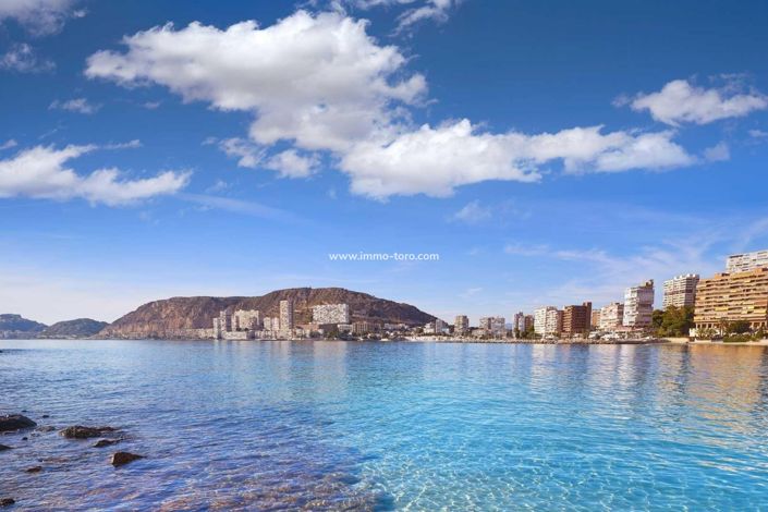 Image No.11-3 Bed Villa for sale