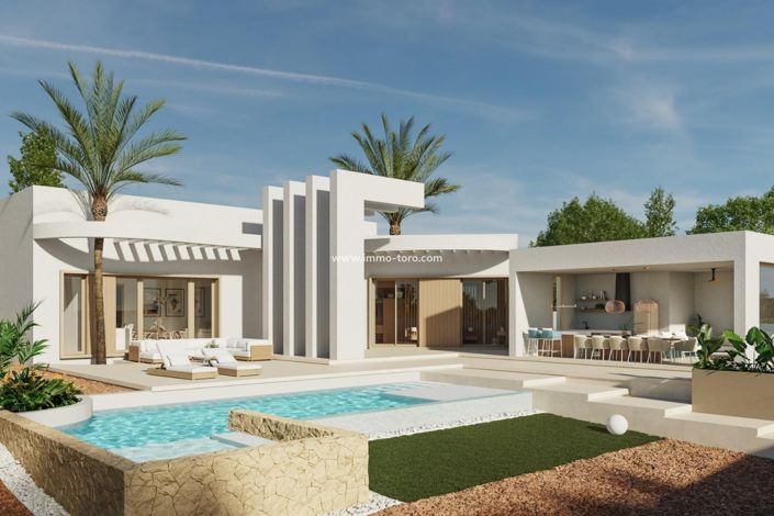 Image No.1-Villa de 4 chambres à vendre à Algorfa