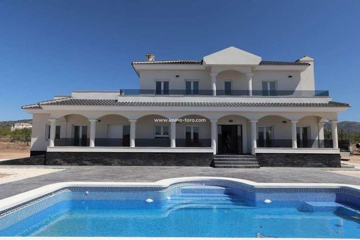 Image No.1-Villa de 4 chambres à vendre à Pinoso