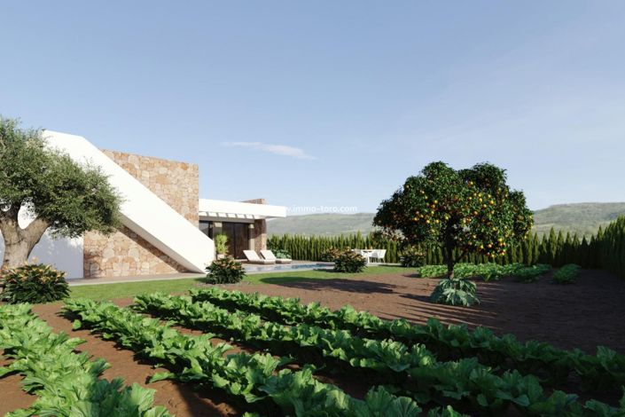 Image No.11-Villa de 3 chambres à vendre à Fuente Álamo