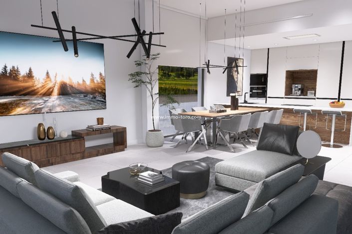 Image No.21-Villa de 3 chambres à vendre à Pinoso