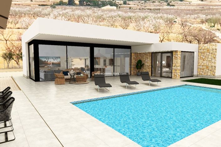 Image No.3-Villa de 3 chambres à vendre à Pinoso