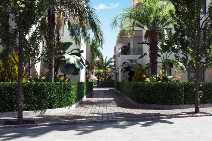 Image No.3-3 Bed Penthouse for sale