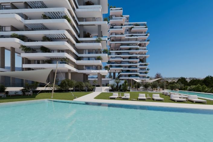 Image No.1-3 Bed Flat for sale