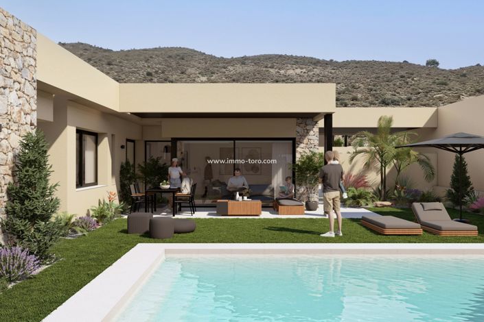 Image No.1-Villa de 4 chambres à vendre à Condado de Alhama
