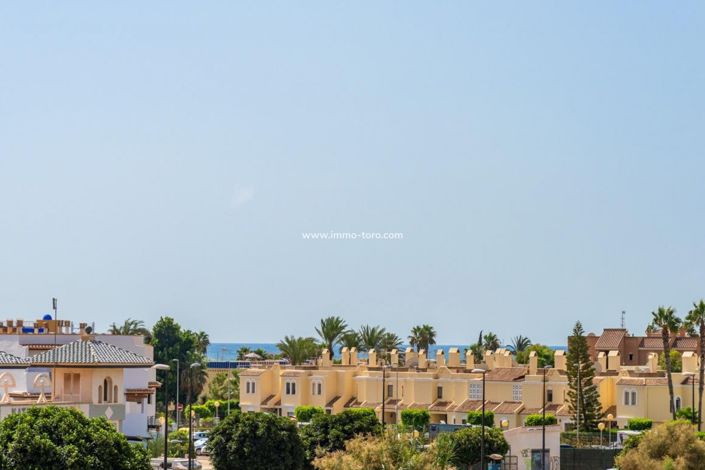 Image No.36-Villa de 2 chambres à vendre à Vera