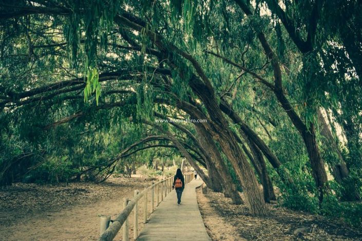 Image No.13-3 Bed Villa for sale