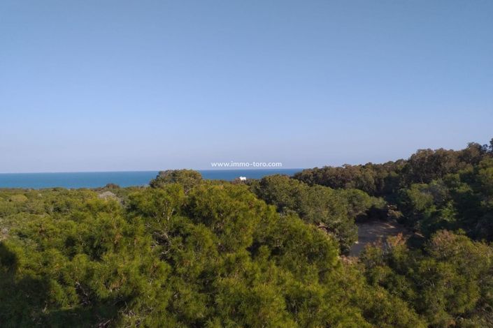 Image No.13-Penthouse de 3 chambres à vendre à Guardamar del Segura