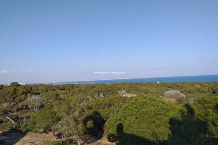 Image No.4-Penthouse de 3 chambres à vendre à Guardamar del Segura