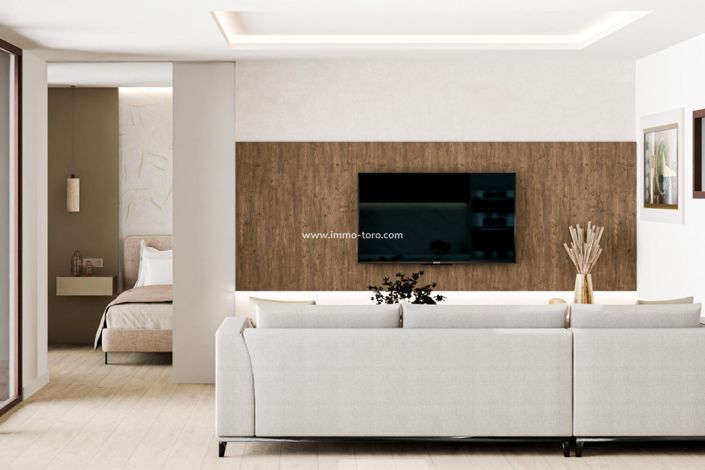 Image No.6-Villa de 2 chambres à vendre à Pinoso