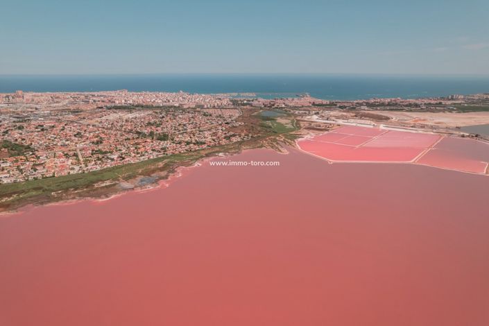 Image No.15-Appartement de 2 chambres à vendre à Torrevieja