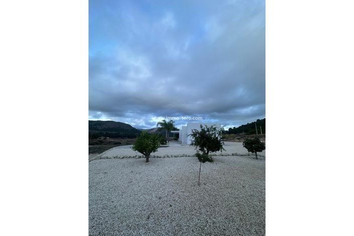 Image No.27-3 Bed Villa for sale
