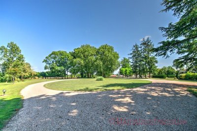 ktnox7nl-uixbgqudgzqg-700x467