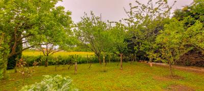 20230429_111109_edited