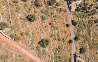 dji_fly_20230405_101526_535_1680678937019_photo