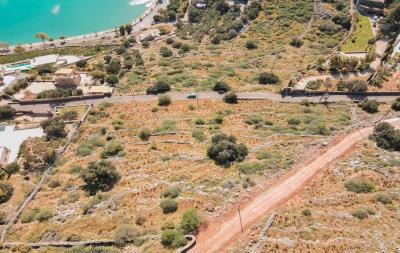 dji_fly_20230405_101638_538_1680679012104_photo