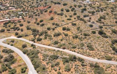 dji_fly_20230419_143522_494_1681904164468_photo