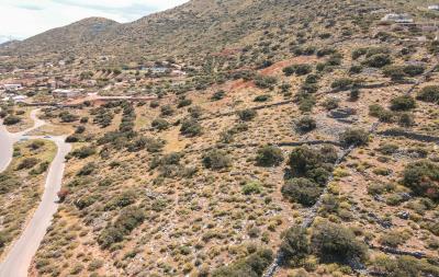 dji_fly_20230419_143558_496_1681904176917_photo