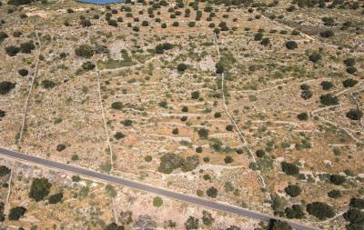 dji_fly_20230413_113036_268_1681374717637_photo