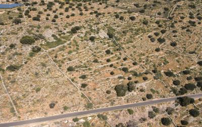 dji_fly_20230413_113048_269_1681374723693_photo