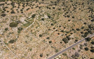 dji_fly_20230413_113058_270_1681374705529_photo