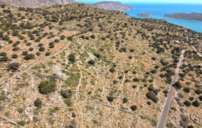 dji_fly_20230413_113112_271_1681374712179_photo
