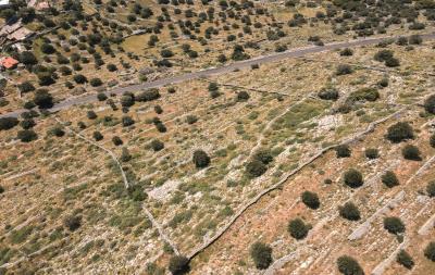 dji_fly_20230413_113258_275_1681374837375_photo