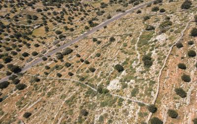 dji_fly_20230413_113306_276_1681374846617_photo