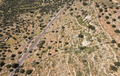 dji_fly_20230413_113322_277_1681374854308_photo
