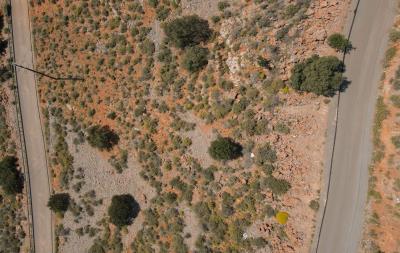 dji_fly_20230410_111450_909_1681114533670_photo